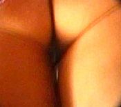 sexy panties girz panty panties pics sexy panties farmer
